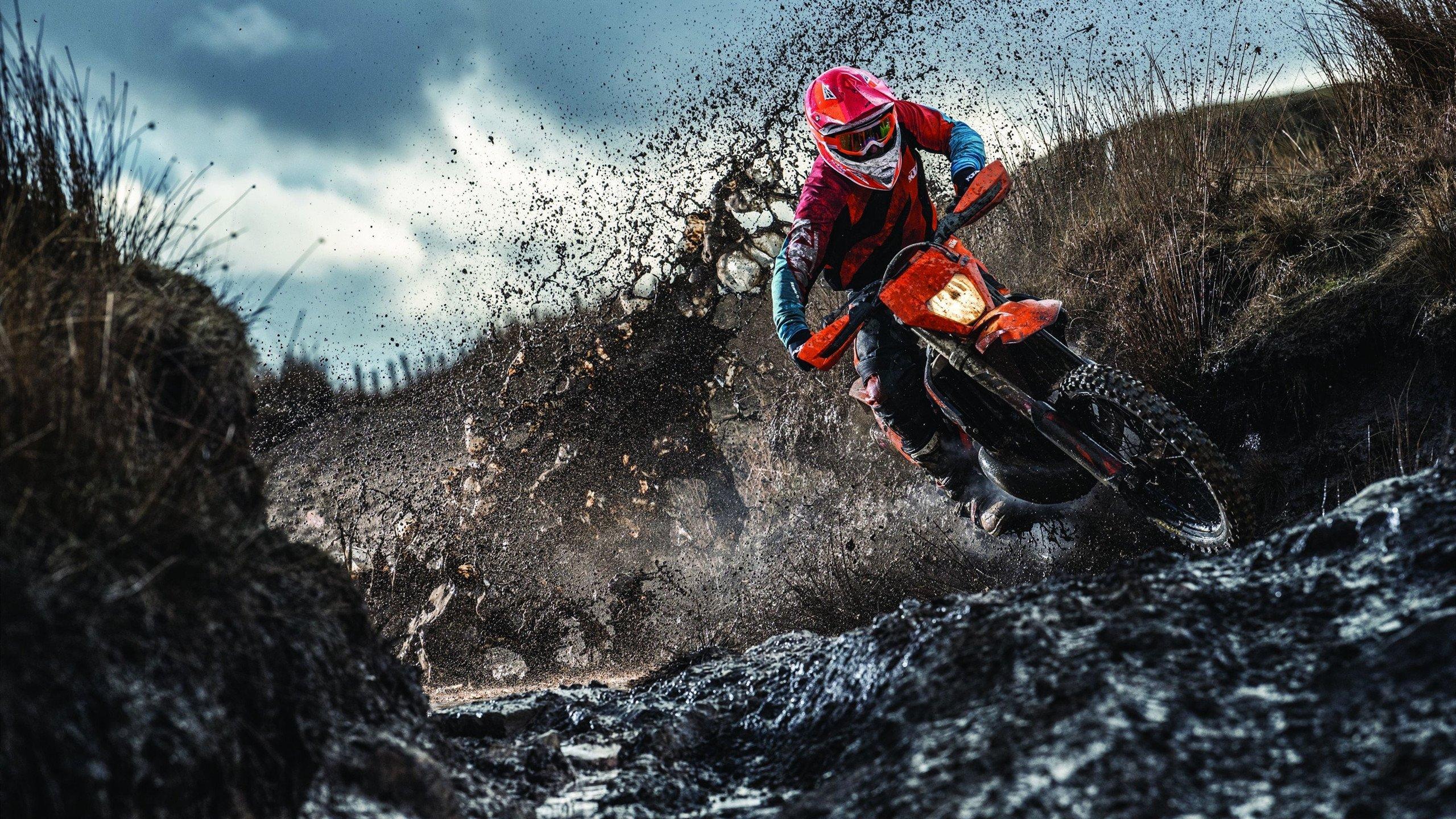 温网2024，阿尔卡拉斯卫冕成功，斯瓦泰克首夺草地大满贯