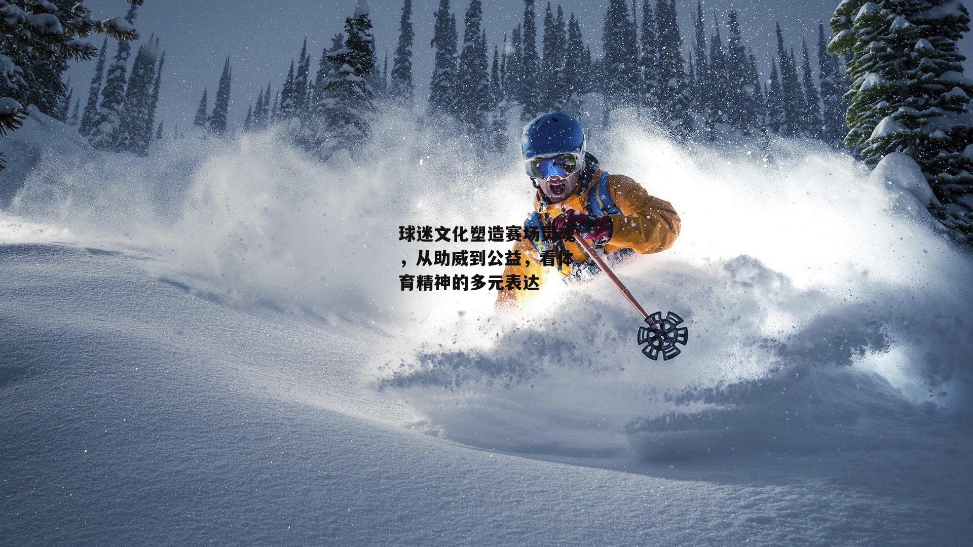 球迷文化塑造赛场灵魂，从助威到公益，看体育精神的多元表达